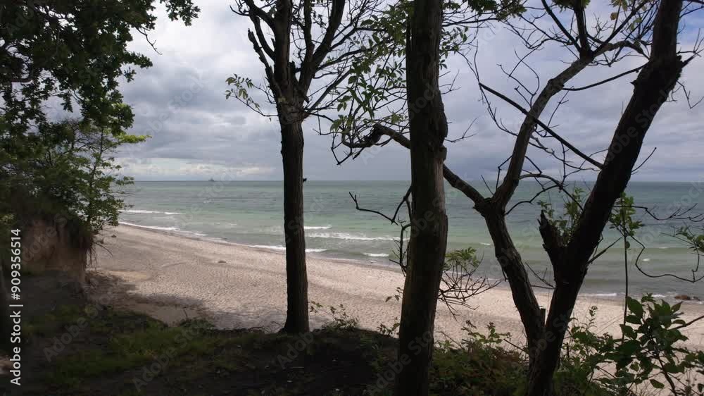 Trees standing on the top of the steep sand cliffs above a beautiful Baltic sea beach on a cold and windy summer day. Wild nature, beach forest along a dangerous cliff edge near Heiligendamm, Germany. Trees standing on the top of the steep sand cliffs above a beautiful Baltic sea beach on a cold and windy summer day. Wild nature, beach forest along a dangerous cliff edge near Heiligendamm, Germany.