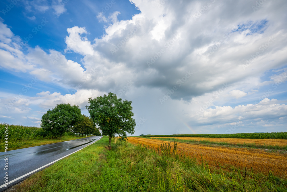 Fototapeta premium Storm clouds over rural landscape, fields and sky