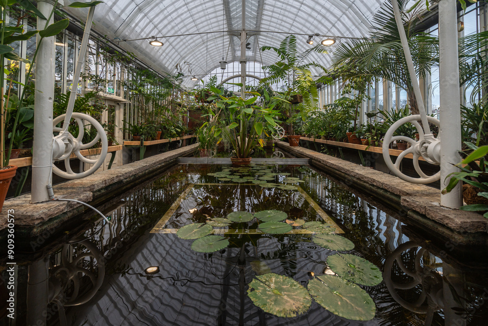A tranquil pond surrounded by lush greenery at Gothenburg Palmhouse, Sweden A tranquil pond surrounded by lush greenery at Gothenburg Palmhouse, Sweden