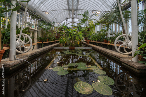 A tranquil pond surrounded by lush greenery at Gothenburg Palmhouse, Sweden photo