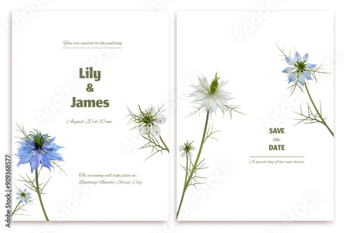 Nigella flower. Beautiful blue and white wild flowers on white background. Wedding invitation. Spice. Floral. Exotic flower. Green leaves. Isolated.