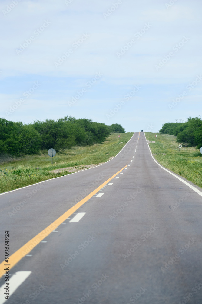 Argentina road, travel scene, a straight route extends to the horizon. Argentina road, travel scene, a straight route extends to the horizon.