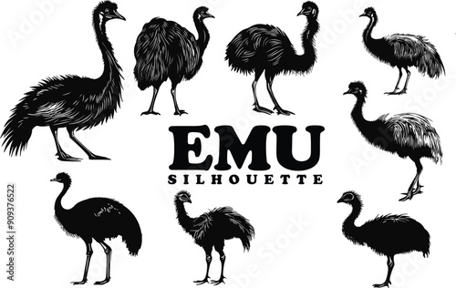 Emu Animal Silhouettes in Various Positions - Black and White Collection