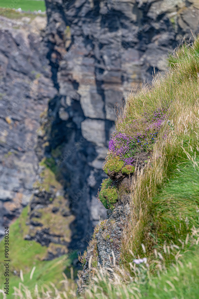 cliffs of moher, ireland