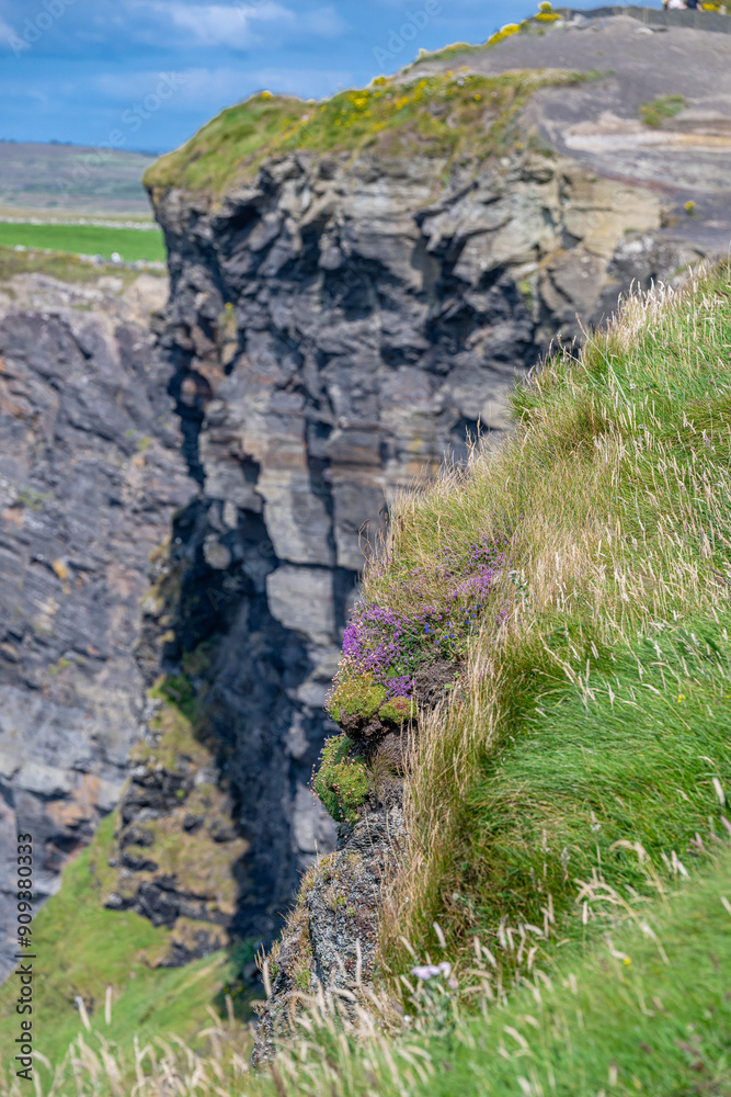 cliffs of moher, ireland cliffs of moher, ireland