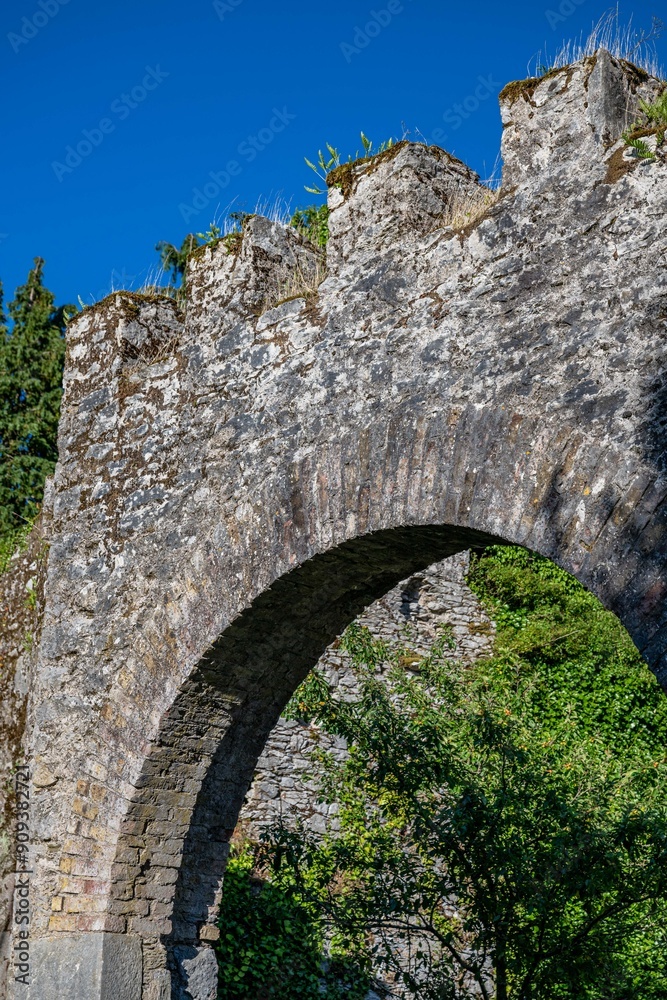 Obraz premium castle ruins, castlemartyr, ireland