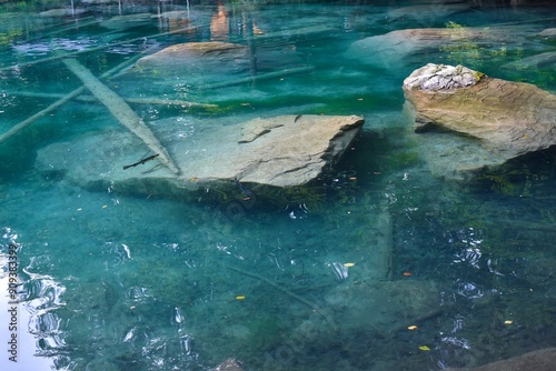 Blausee Switzerland. Beautiful clean water in lake close up photo