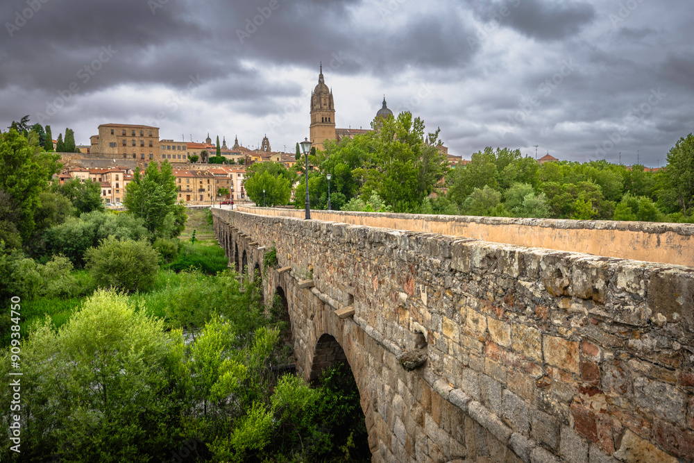 Obraz premium Roman Bridge in the Old Town of Salamanca, Spain