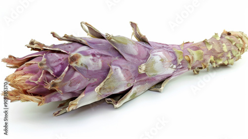 A whole cardoon isolated on white