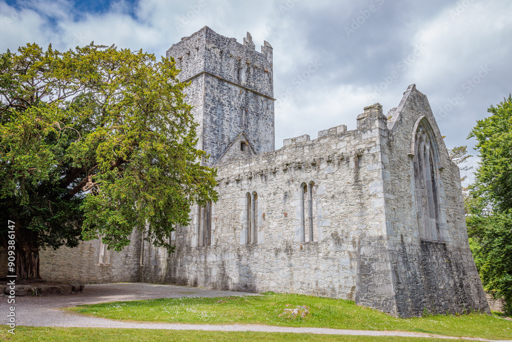 Fototapeta premium Muckross, Ireland - June 8 2024 