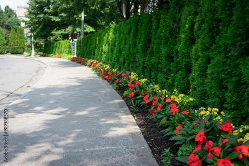 Residential sidewalk