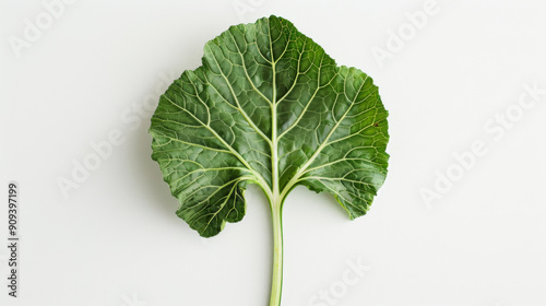 A whole turnip leaf isolated on white