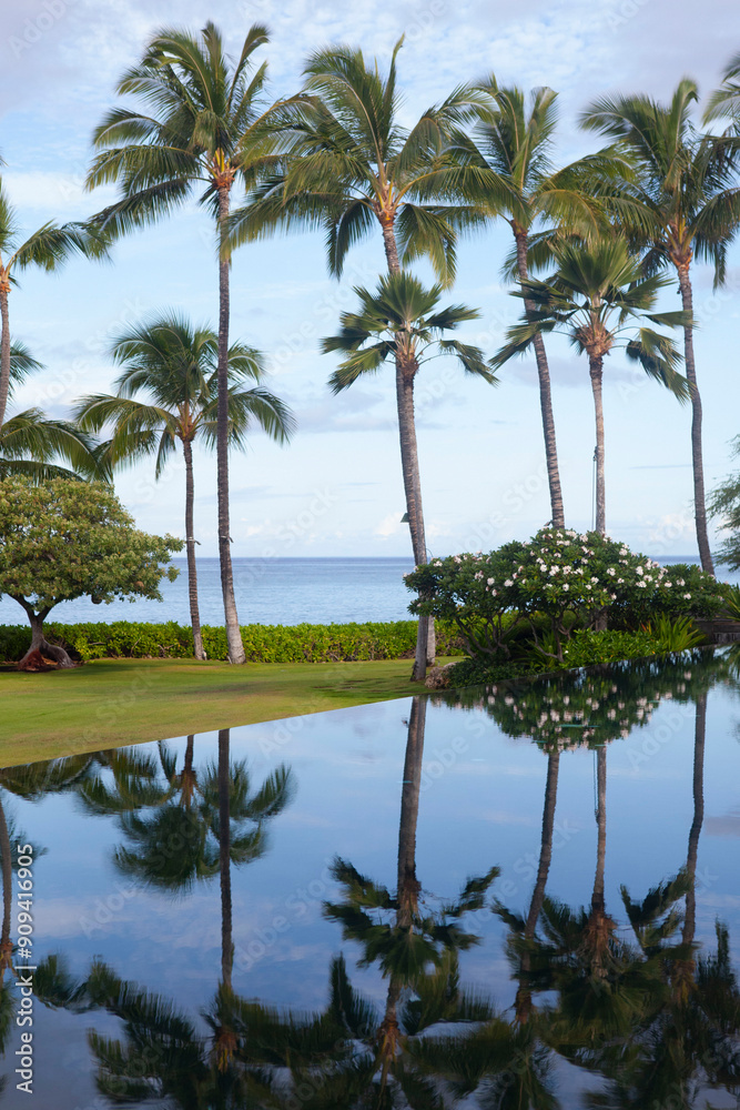 Palm tree reflection in swimming pool, luxury tropical resort spa paradise Palm tree reflection in swimming pool, luxury tropical resort spa paradise