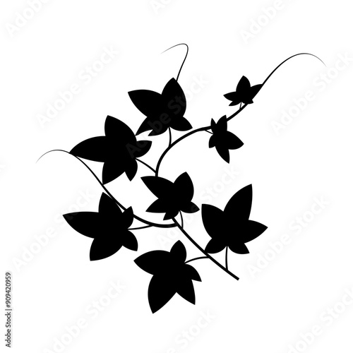 Ivy leaves silhouette. Botanical vector. Black and white. Nature element.