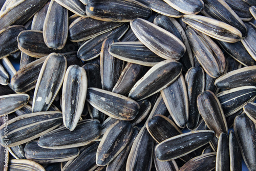 Obraz na plátně Close up Kwaci or Sunflower Seeds, snack made from dried and salted sunflower se