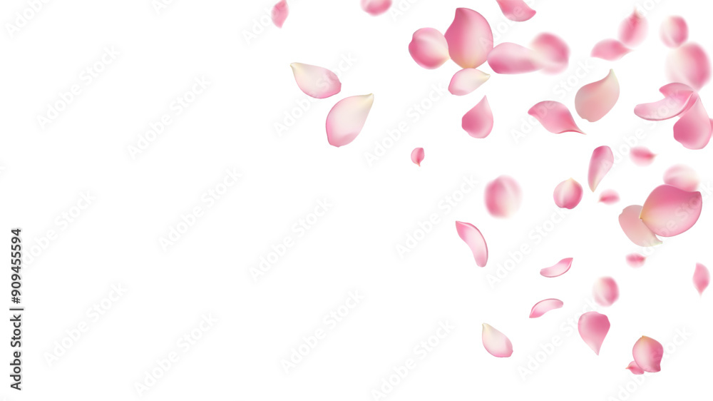 Pink rose petals fall on abstract floral background with gorgeous rose petal greeting card design,Flower flying background,cherry blossom Pink rose petals fall on abstract floral background with gorgeous rose petal greeting card design,Flower flying background,cherry blossom