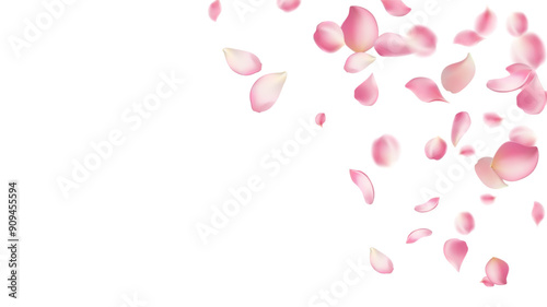 Pink rose petals fall on abstract floral background with gorgeous rose petal greeting card design,Flower flying background,cherry blossom