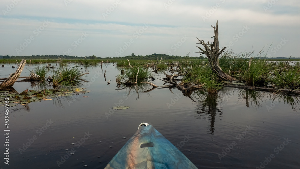 Φωτογραφία A large number of dead trees in a swamp area of the lake while kayaking at Luthe