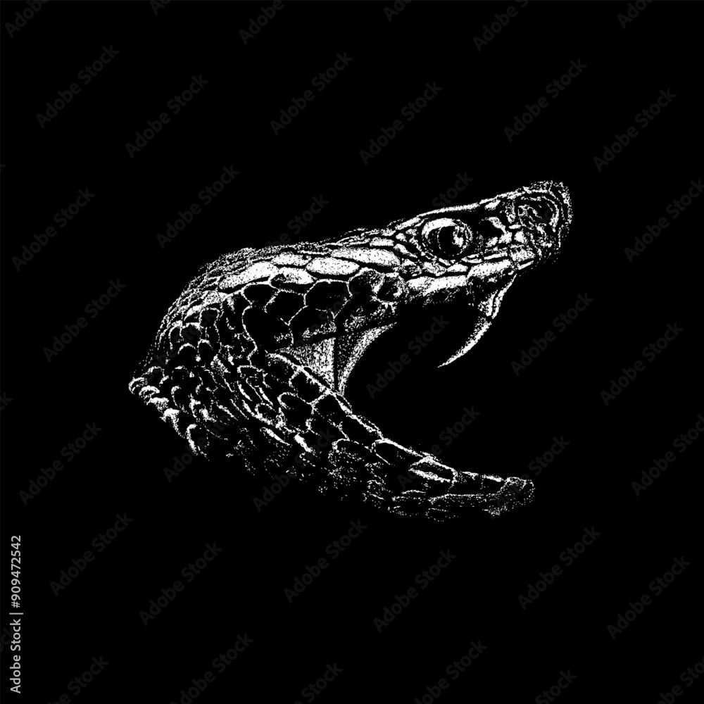 Naklejka premium Snake Head hand drawing vector isolated on black background.