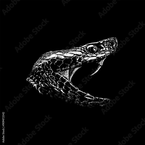 Snake Head hand drawing vector isolated on black background.