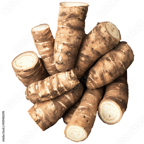 Arrowroot Plant Isolated on Transparent Background - Clear and Detailed Botanical Image for Various Applications