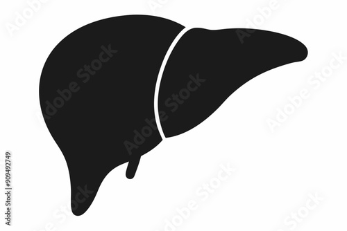Liver icon, liver vector silhouette