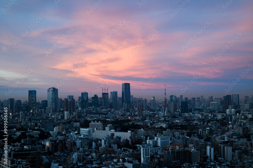 Fototapeta premium 東京の夕暮れ