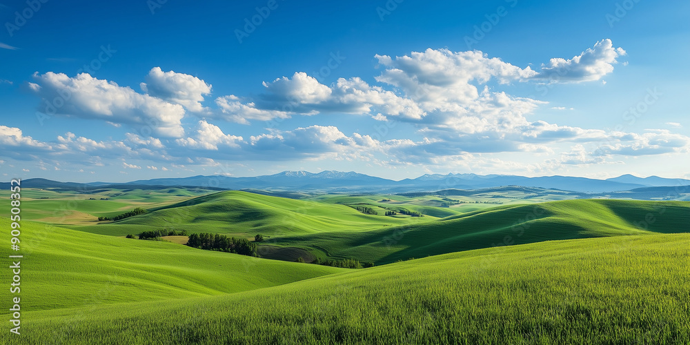 Obraz premium Landscape portrait of emerald green rolling hills with a forest off in the distance, blue sky and white puffyy clouds in the background over mountains