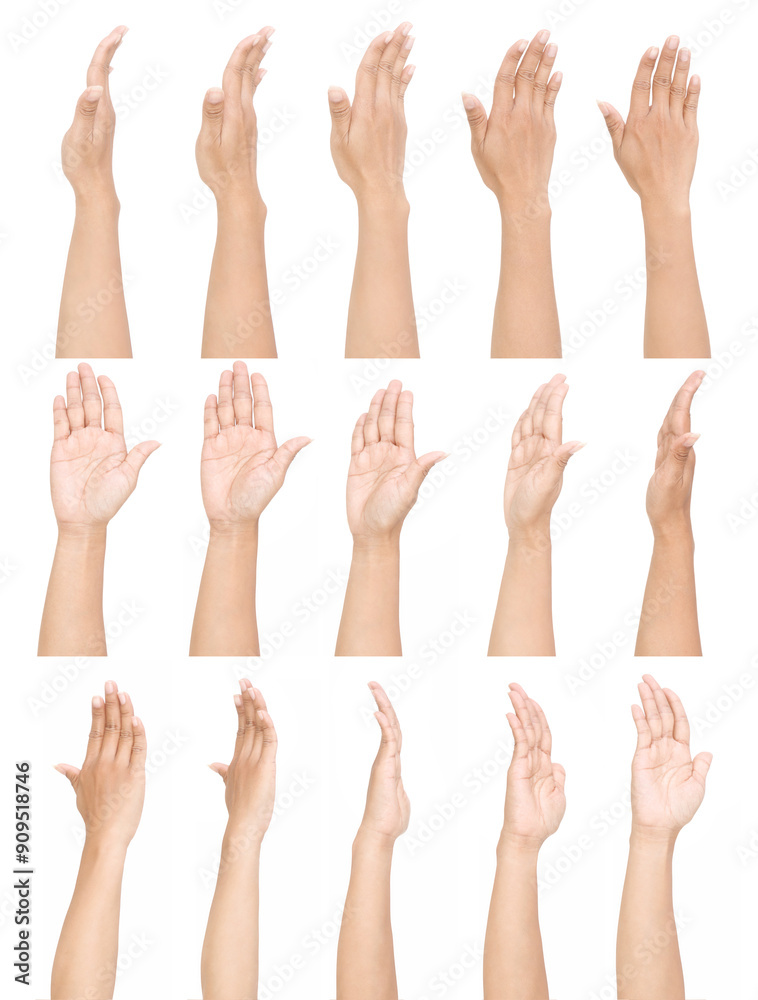GROUP of Female asian hand gestures isolated over the white background. GROUP of Female asian hand gestures isolated over the white background.