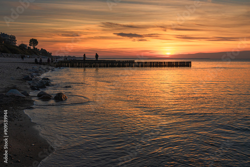 Obraz na płótnie View of sand beach with wooden breakwaters on the Baltic Sea coast on sunset in Zelenogradsk. Russia w salonie