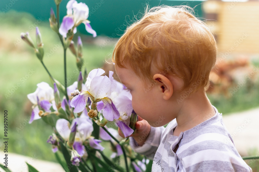 Little red-haired boy sniffing blue irises in the garden