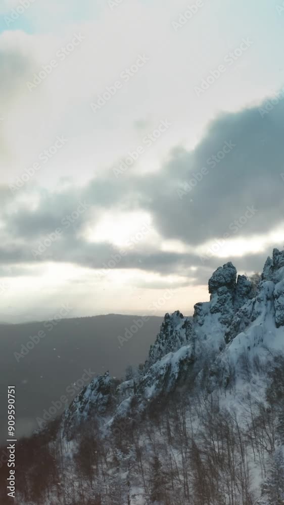 Aerial view of beautiful snow forrest during winter Aerial view of beautiful snow forrest during winter