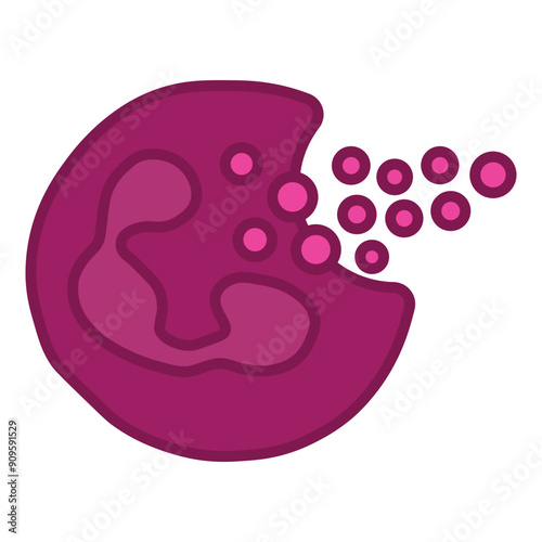 phagocytosis 