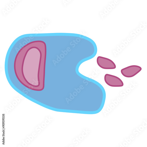phagocytosis 