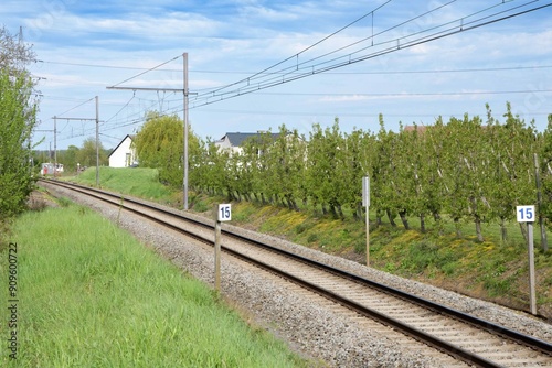 Railway tracks in the countryside next to plantations