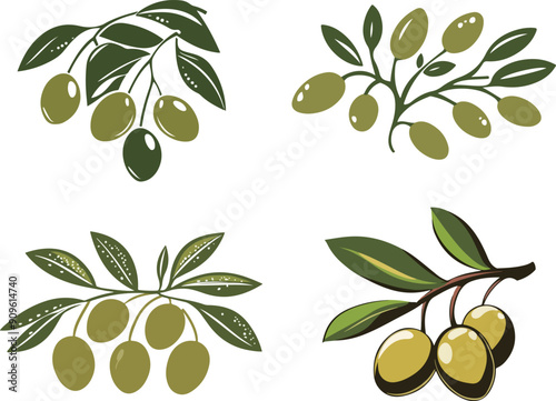 Olive Branch Illustrations