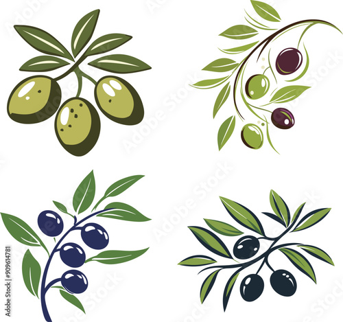 Olive Branch Illustrations