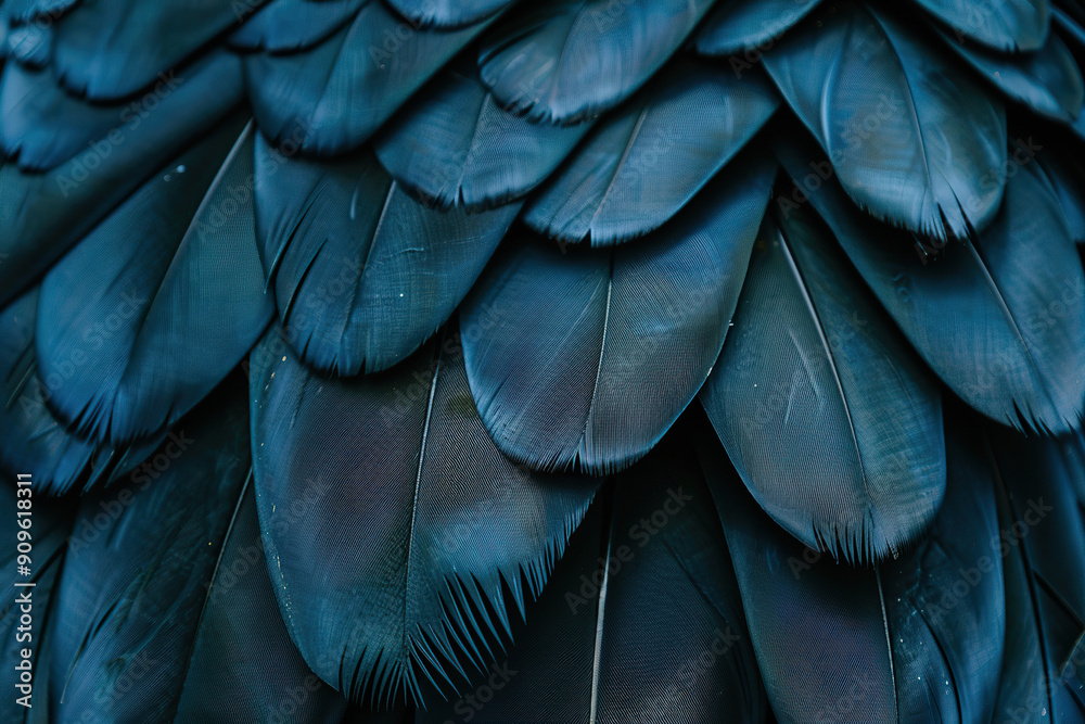 Obraz premium Generative ai on theme of beautiful texture bird feather for design natural abstract background