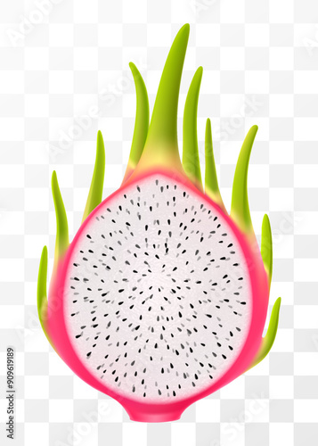 Fresh Dragon fruit isolated on transparent background. Half of Pitaya, cut pitahaya with white flesh and black seeds. Exotic dragon fruit cross section. Tropical vitamin food. Realistic 3d vector.