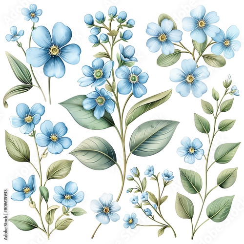 Watercolor forget-me-not clipart with small blue flowers and green leaves.