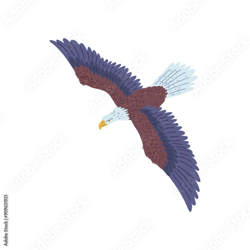 The vector image of a rapidly flying bald eagle with wings, beak and tail
