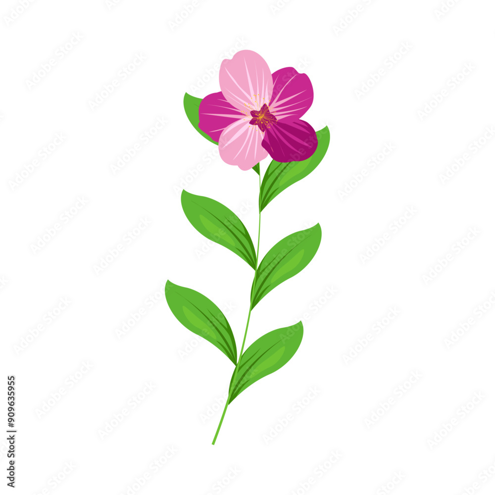 Hand drawn Spring flower illustration on a white background Hand drawn Spring flower illustration on a white background
