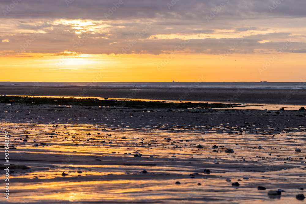 Naklejka premium A peaceful evening scene on a serene beach with low tide reflections and birds under the golden light of the sunset