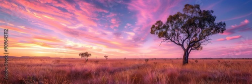 Australian outback landscape photo sunset photo