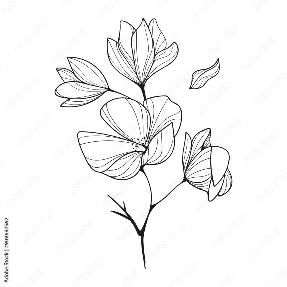 Hand drawn flower outline illustration