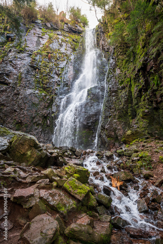 Burgbach Waterfall in Bad Rippoldsau-Schapbach  Baden-W  rttemberg