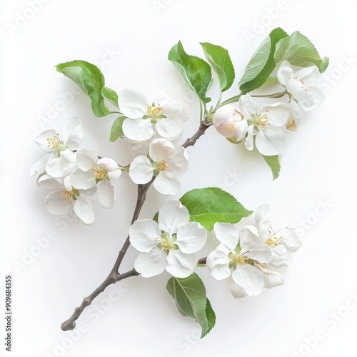 Delicate Apple Blossom Branch on White Background for Food or Cosmetic Design Generative AI