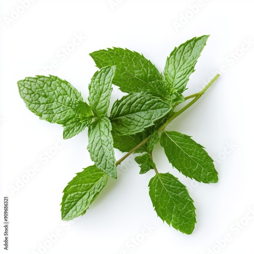 Fresh Peppermint Branch on White Background for Food or Cosmetic Design Generative AI