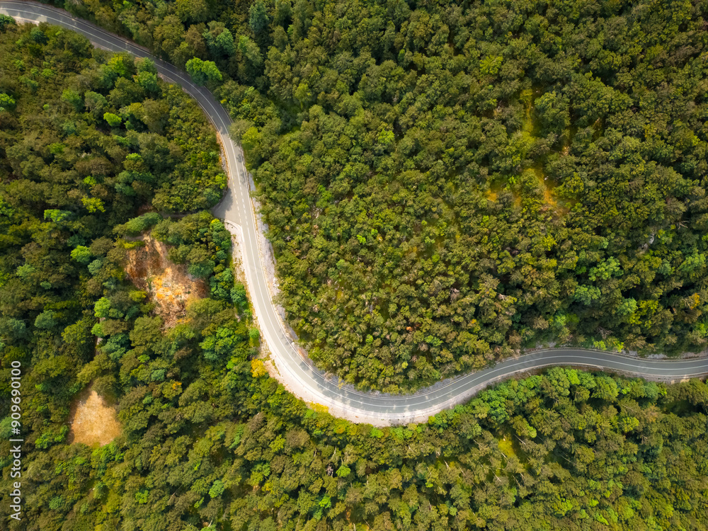Aerial top view of curve mountain road on a hill in a beautiful lush green-yellow forest. Nature landscape background from drone Aerial top view of curve mountain road on a hill in a beautiful lush green-yellow forest. Nature landscape background from drone