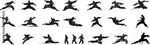 karate or taekwondo icon set icon set 